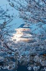 91麻豆国产高清-文明观影，从心出发 -- 探索国产高清影音世界的正确方式