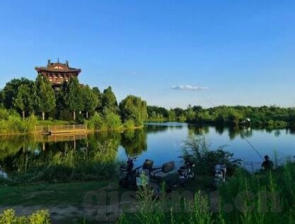 91网址麻豆-重拾记忆，深入91网址下麻豆