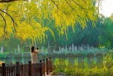 不卡的日韩av-探索日韩AV的流畅体验，不卡的享受