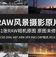大象传媒国产有限公司-探索大象传媒国产有限公司的多元化发展之路