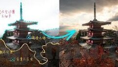 大象视频平台-大象视频平台，重塑娱乐内容消费的新篇章