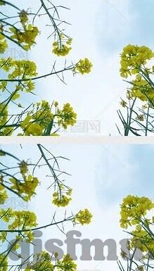 果冻传媒高清在线-探索果冻传媒高清在线，视觉盛宴的独特魅力