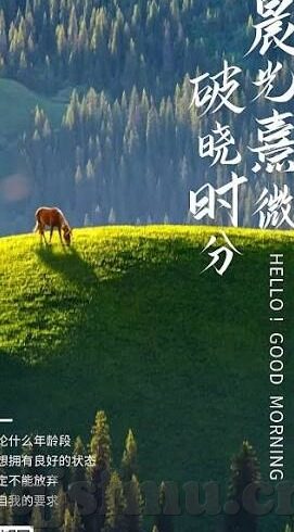 糖心vlog免费观看3次-独家分享，解锁在线娱乐新体验——糖心Vlog免费观赏三次的绝妙机会
